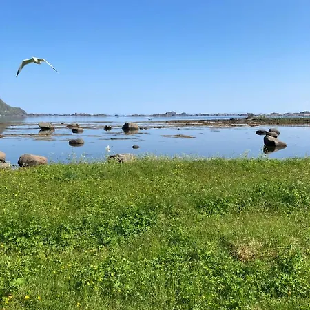 Middle Of Lofoten. Oceanview Campeggio *
